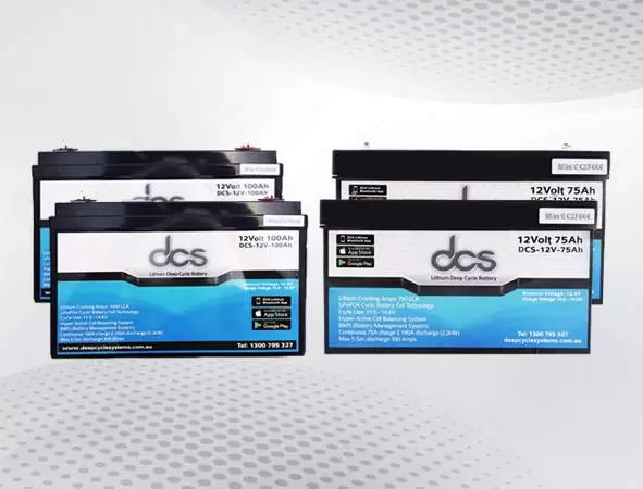 24 deep cycle battery